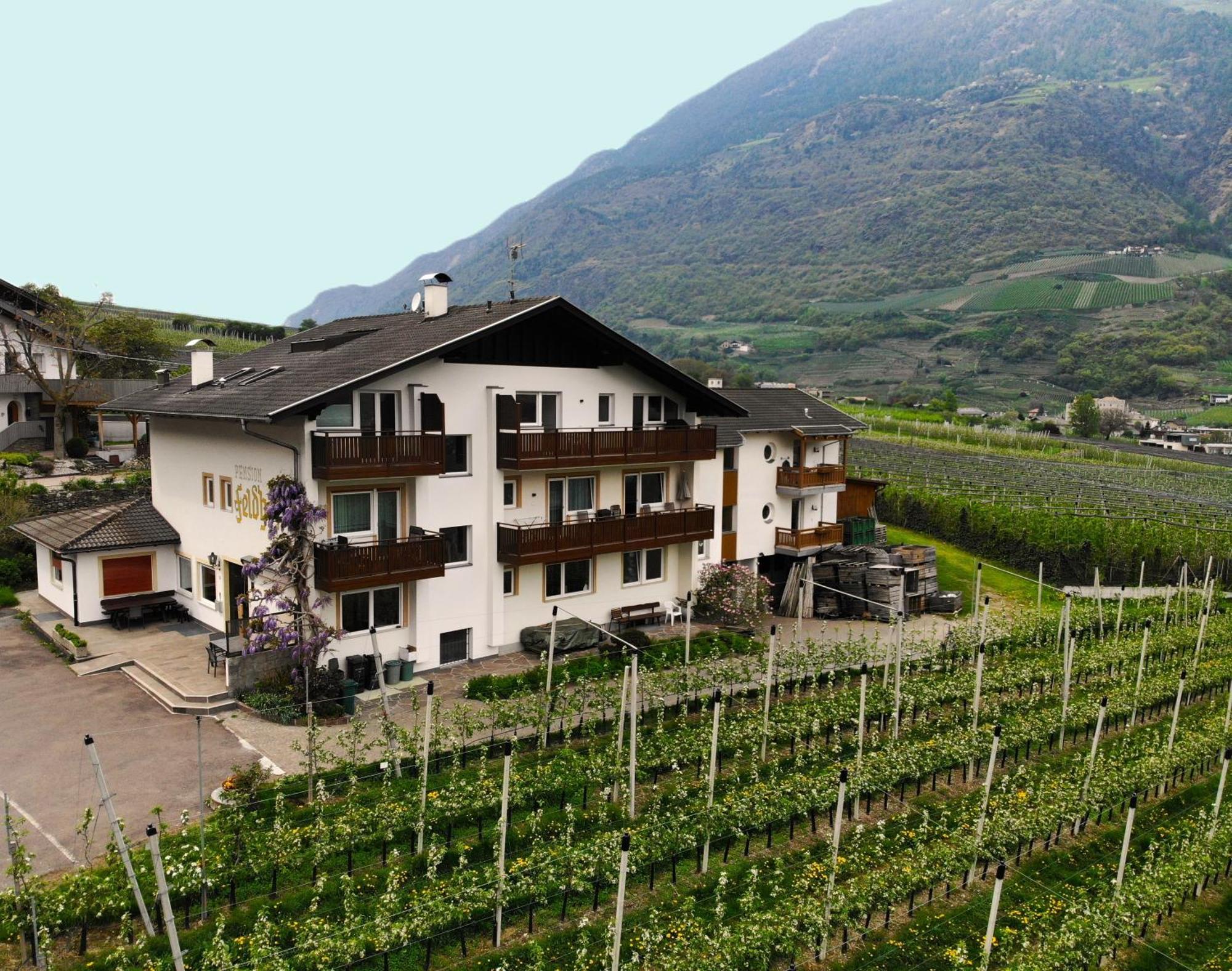 Residence Feldhof Castelbello Εξωτερικό φωτογραφία